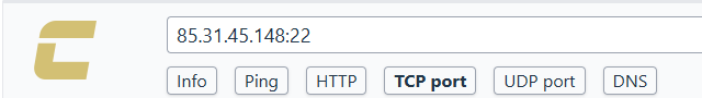 Check-Host: строка с адресом сервера и портом и кнопки Info, Ping, HTTP, TCP port, UDP port, DNS