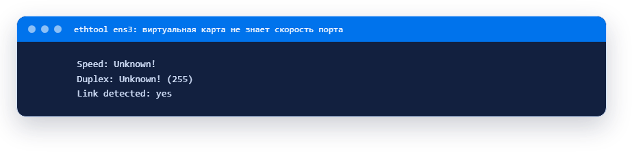 ethtool ens3: виртуальная карта не знает скорость порта