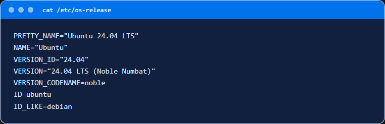 Вывод cat /etc/os-release на Ubuntu 24.04: версия, кодовое имя и идентификатор дистрибутива