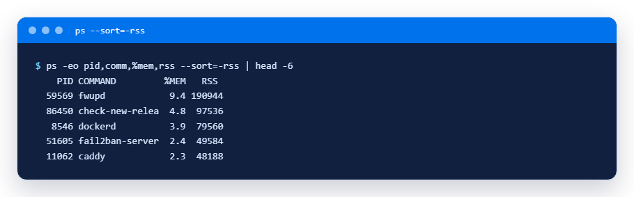 The five largest processes by memory: ps sorted by RSS